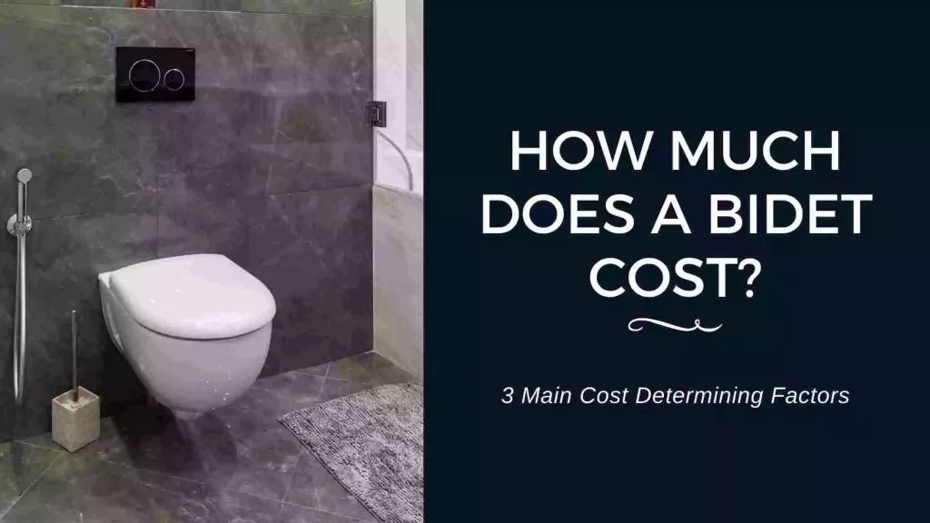 How Much Does A Bidet Cost