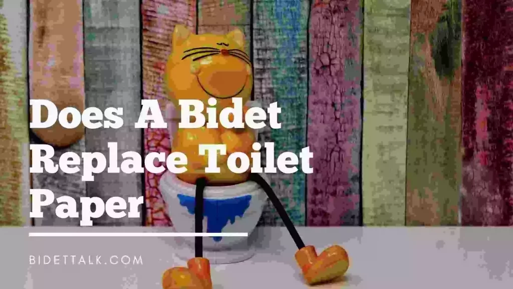 Does A Bidet Replace Toilet Paper